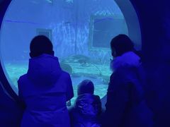 -北戴河圣蓝海洋公园