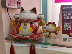 -晶奕空间专业脱毛连锁机构
