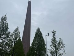 -合肥滨湖国家森林公园