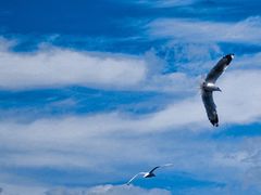 -丽江泸沽湖景区