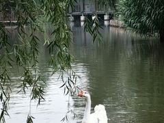 -狼山风景名胜区