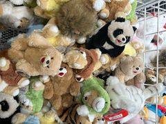 -KKV(上海月星环球港主力店)