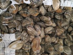 -青石桥市场北1-27号