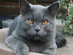 -阆辣荟餐饮(老味道8年·古城店)