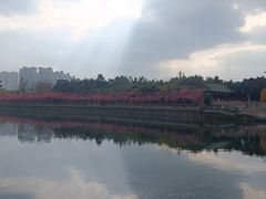 -望江楼公园