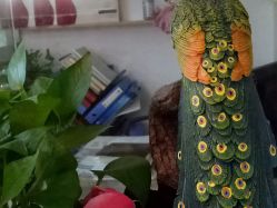 点击看大图 -荟草堂专业祛痘连锁机构