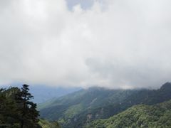 -牛背梁国家森林公园