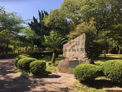 -汉拿树木园