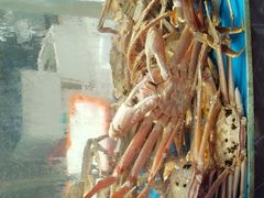 -1718海鲜姿造(苏宁宴请臻选店)