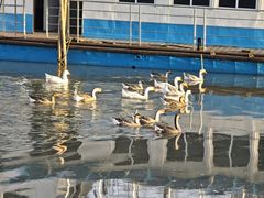 -东钱湖旅游度假区