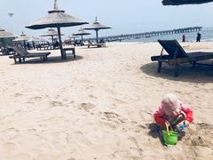 -北戴河碧螺塔海上酒吧公园