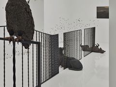 -胶囊画廊
