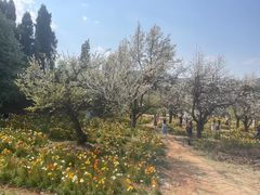 -名花谷生态庄园