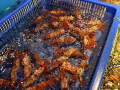 -拉完海鲜大排档(温岭店)