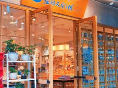 丽江猫的天空之城-猫的天空之城概念书店(束河店)