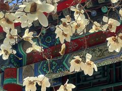 -北京颐和宾馆