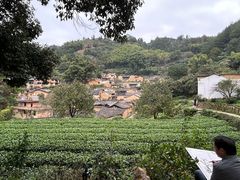 -杨家堂村