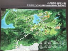 -深圳仙湖植物园