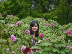 -铁山坪森林公园