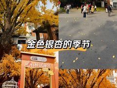 -上海瑞金洲际酒店