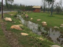 -上海长兴岛郊野公园