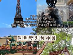 -云里梦想乐园