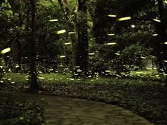 -华南国家植物园-售票处