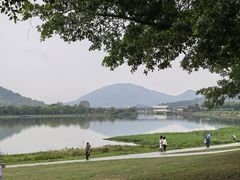 -风云岭森林公园