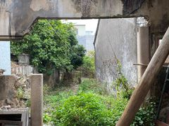 -程洋冈村