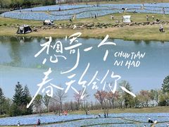 -上海辰山植物园