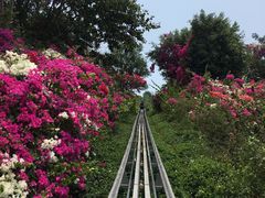 -芽庄珍珠岛游乐园