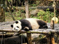 -宁波野生动物园