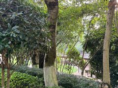 -龙头寺公园