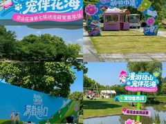 -径山花海