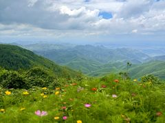-莫干山风景区