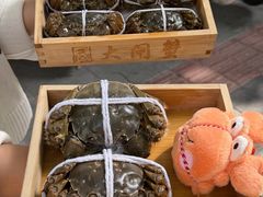 -黄记大闸蟹专卖店·活蟹·醉蟹