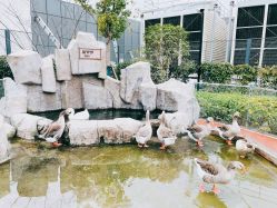 -造物庄园 萌宠纪(苏州湾歌林公园店)