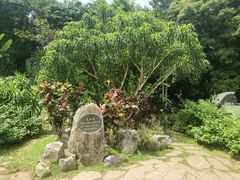 -中国科学院西双版纳热带植物园