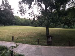 景点-柳浪闻莺公园