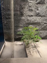 点击看大图 -美壹生皮肤管理中心