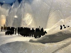 -巴音郭楞蒙古自治州博物馆