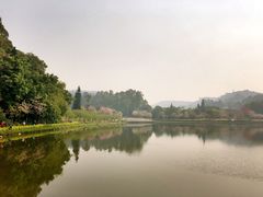 -南国桃园旅游度假区