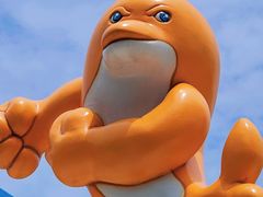 -重庆海昌加勒比海水世界