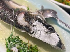 皖鱼-任兴记(定西路店)