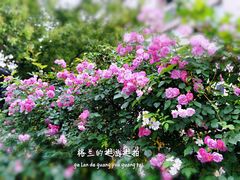 -独一道·邵伯龙虾土菜馆·烧烤(雨花西路店)