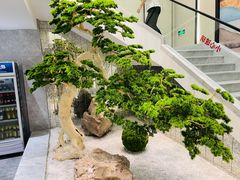-碧丽宫大酒店(召稼楼店)