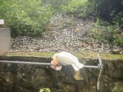 -七仙岭温泉国家森林公园