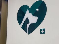 -瑞派康怡24h宠物医院·犬猫医疗中心·微创绝育(瑞景分院)