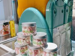 -Salud撒露欧洲冻酸奶(蓝色港湾店)