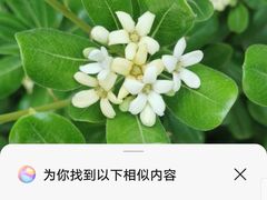 -秦始皇帝陵博物院-丽山园